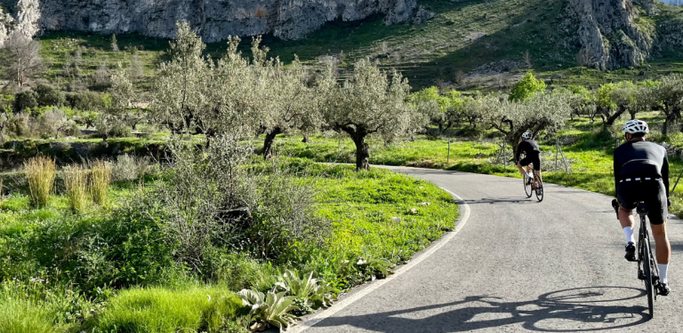 bikers riding through nature